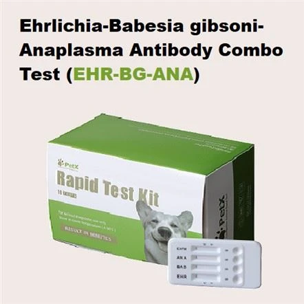 EHR BG UA